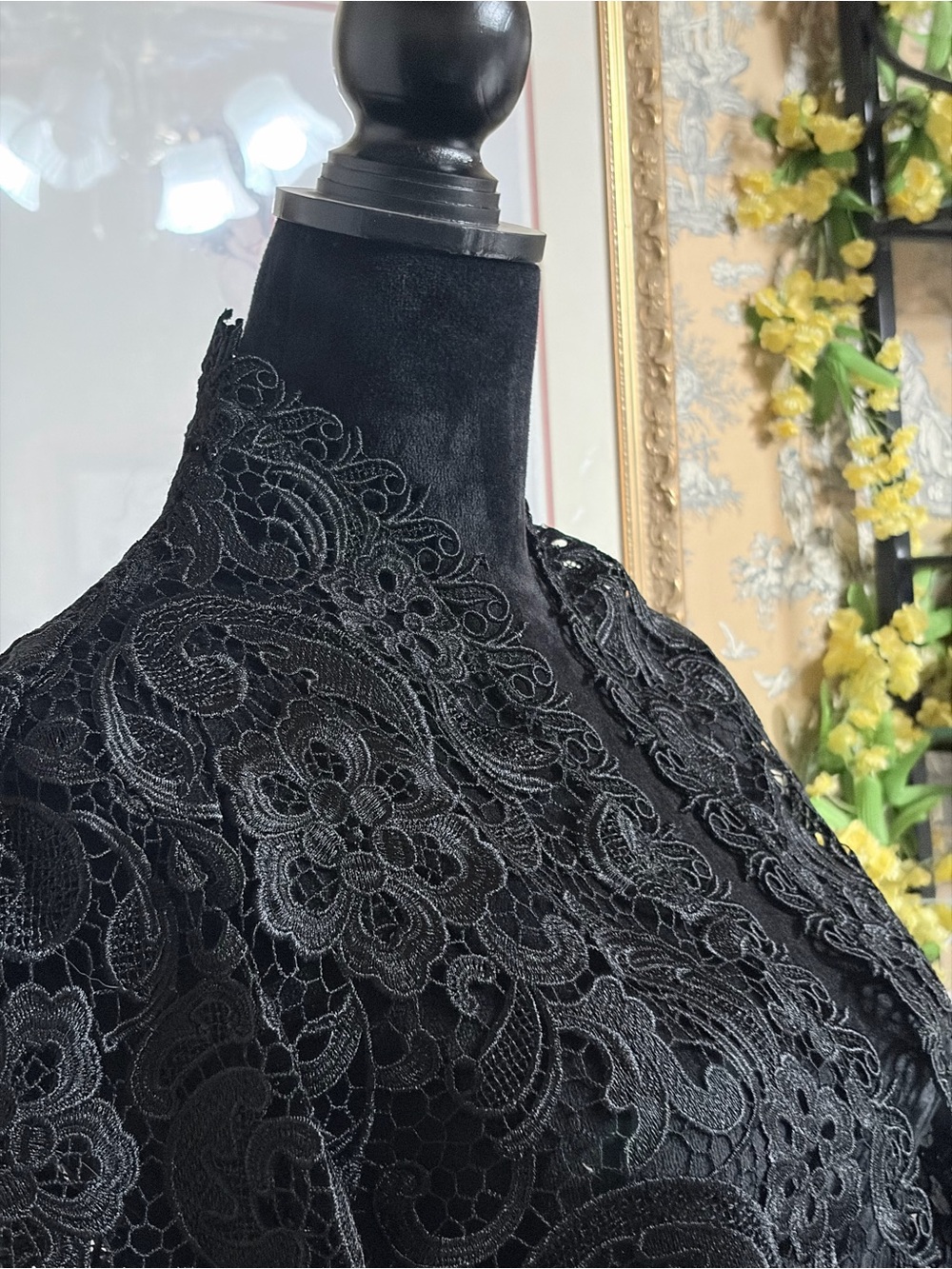 Black Lace High Neck Capelet
